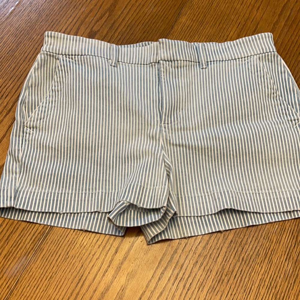 Loft Shorts Size 30/10
